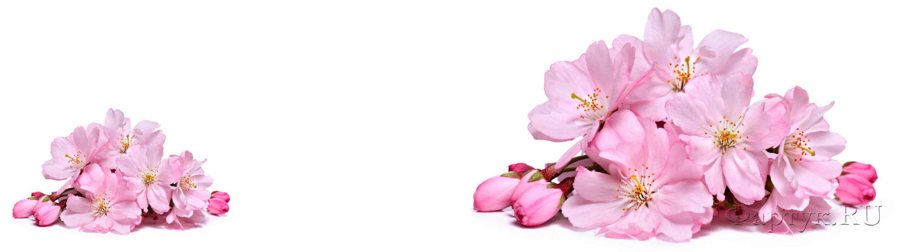Скинали — Розовые цветы на белом фоне