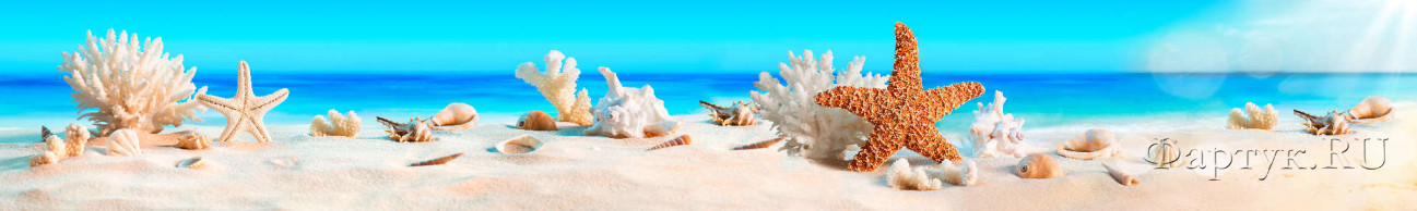 Скинали — кораллы и морские звезды на песчаном берегу
