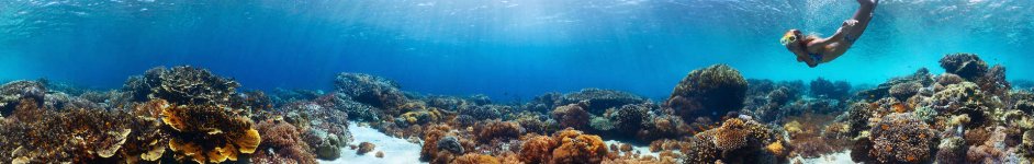 Скинали — Морское дно с кораллами