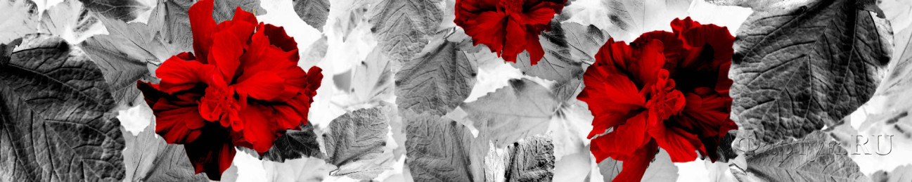 Скинали — Ярко-красные цветы на сером фоне