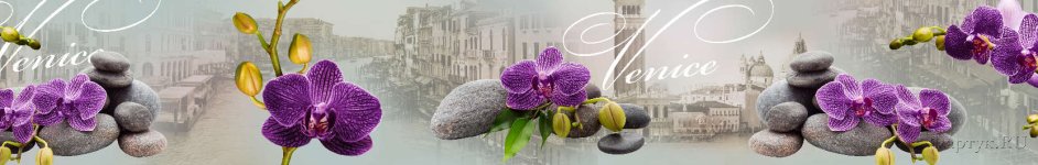 Скинали — Орхидеи и камни 