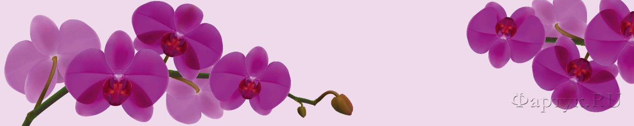 Скинали — Рисованная орхидея