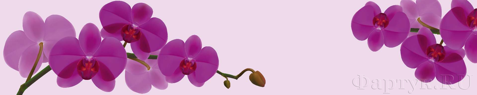 Рисованная орхидея