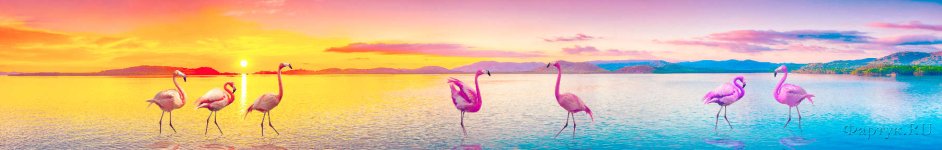 Скинали — Розовый фламинго и красивые пейзажи природы