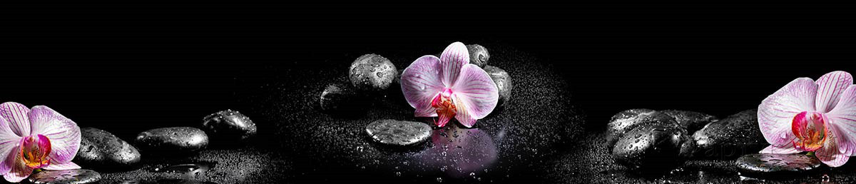 Скинали — Фиолетовые орхидеи на черных камнях