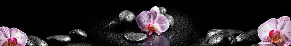 Скинали — Фиолетовые орхидеи на черных камнях