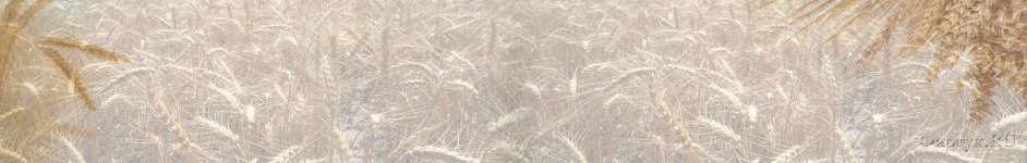 Скинали — Пшеничные колосья