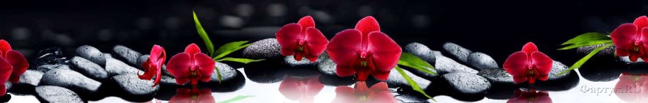 Скинали — Красные орхидеи на камнях