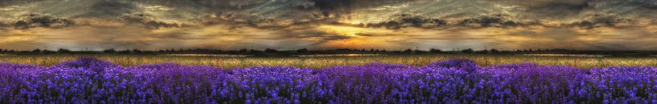 Скинали — Потрясающий пейзаж с лавандовым полем на закате