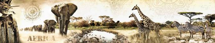 Скинали — Африка и животные