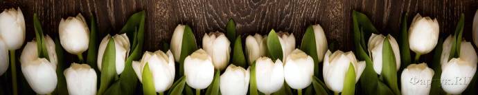 Скинали — Белые тюльпаны на досках