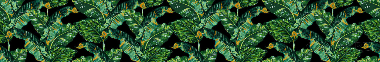 Скинали — Тропические пальмовые листья 