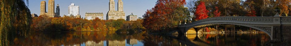 Скинали — Осенняя панорама Центрального парка, Нью-Йорк