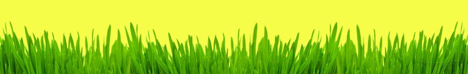 Скинали — Зеленая трава на желтом фоне