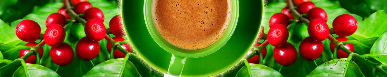 Скинали — чашка кофе и кофейные зёрна