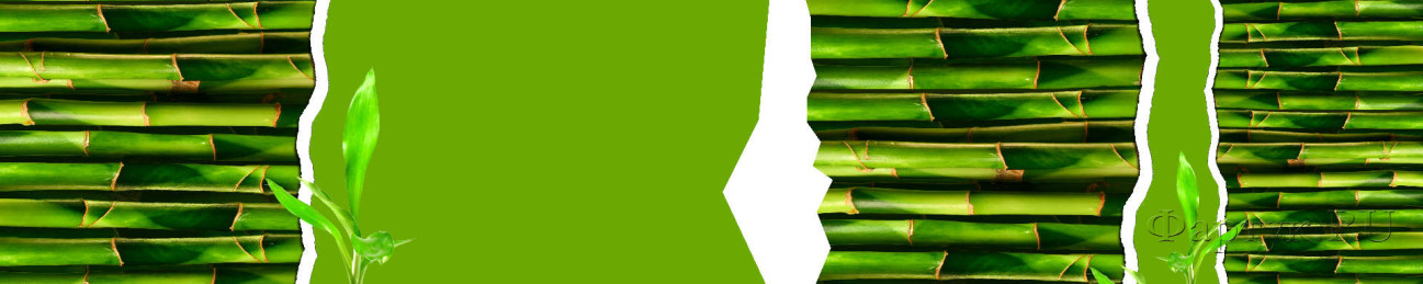 Скинали — Тросник на зеленом фоне