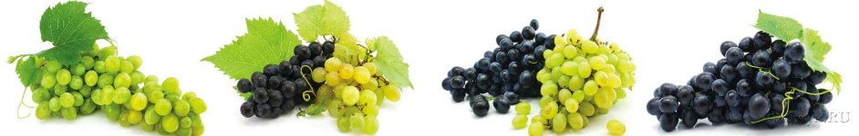 Скинали — гроздья винограда на белом фоне
