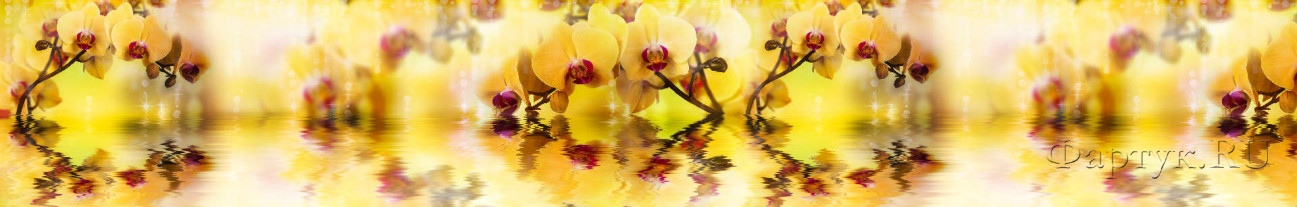 Скинали — Желтые орхидеи над водой