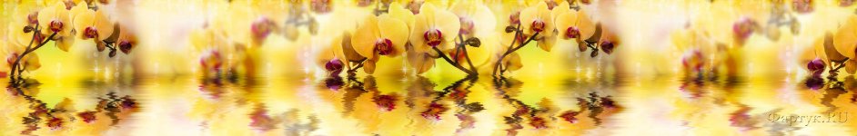 Скинали — Желтые орхидеи над водой