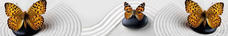 Скинали — Бабочки на камнях