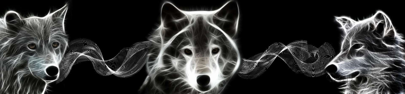 Скинали — Волк белым карандашом на черном фоне 