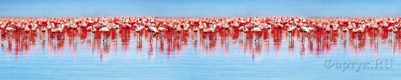 Скинали — Фламинго в воде