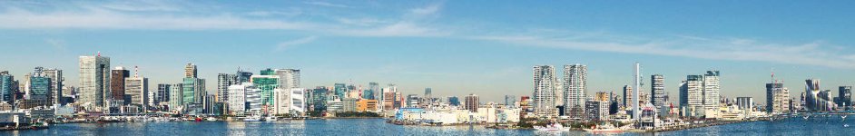 Скинали — Панорама Токио