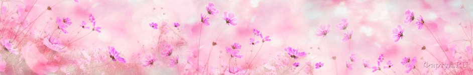 Скинали — Розовые цветы на розовом фоне