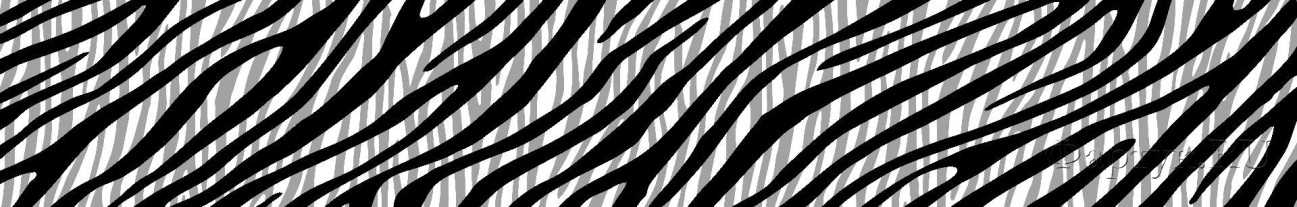 Скинали — Текстура шкуры зебры