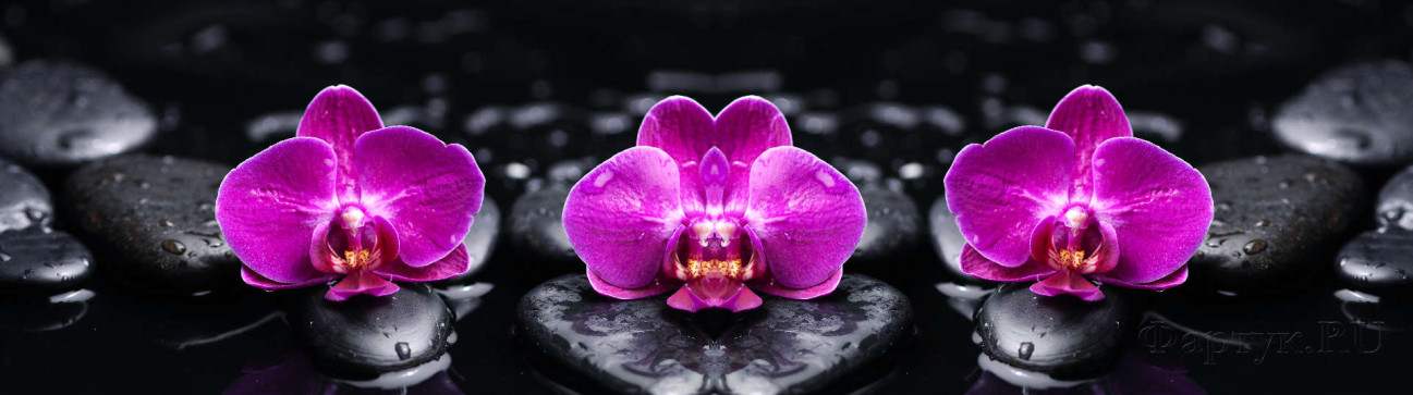 Скинали — Розовые орхидеи на черных камнях