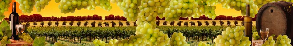 Скинали — Вино, виноград на фоне винного поля