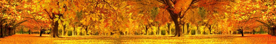 Скинали — Золотая осень