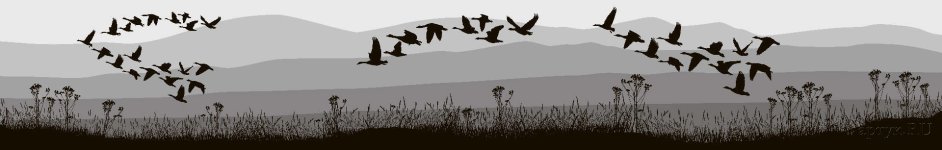 Скинали — Стаи птиц в небе