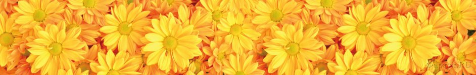Скинали — Желтые цветы