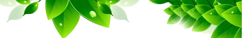 Скинали — Ярко-зеленая нарисованная листва 