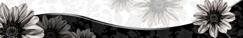 Скинали — абстракция цветы на контрасте черного и белого