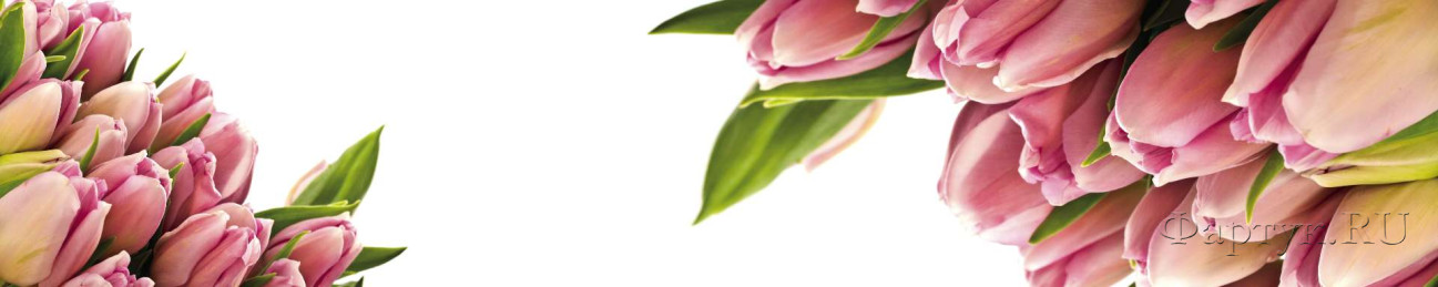 Скинали — Розовые тюльпаны