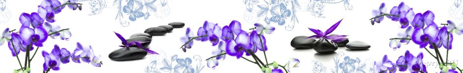 Скинали — Фиолетовые орхидеи и камни спа на белом фоне