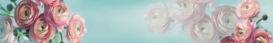 Скинали — Розовая роза на голубом фоне