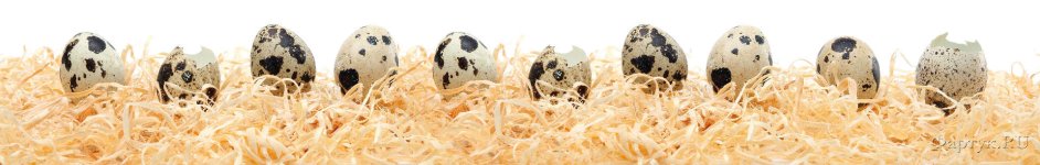 Скинали — Перепелиные яйца