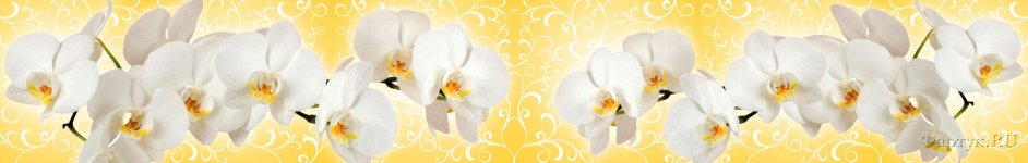 Скинали — Белая орхидея на желтом фоне с белыми вензелями 