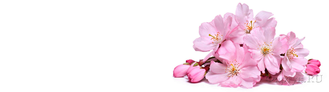 Скинали — Розовые цветы на белом фоне