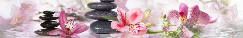 Скинали — Розовые орхидеи и камни спа