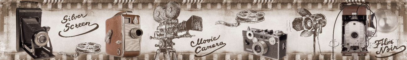 Скинали — Старинные фотокамеры
