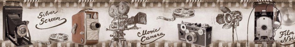 Скинали — Старинные фотокамеры