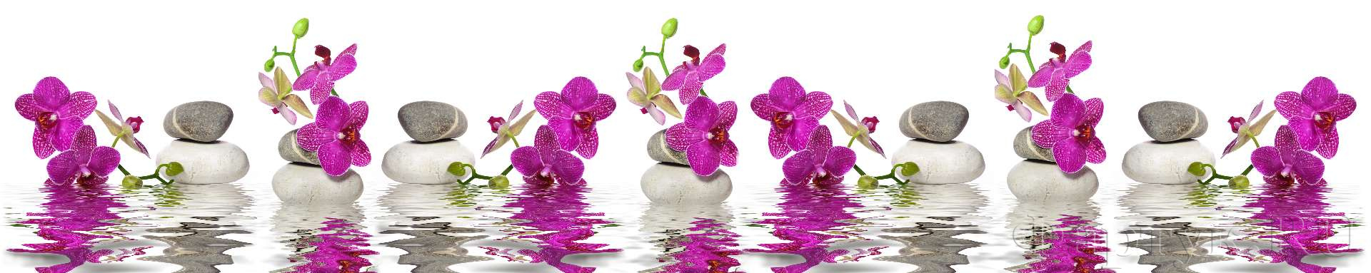 Ветки орхидеи на воде