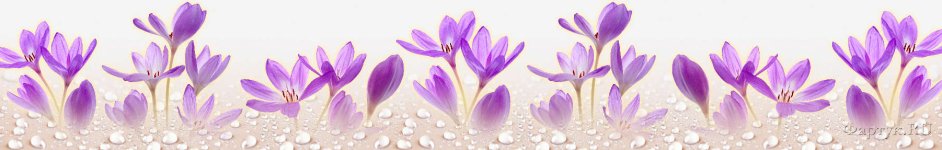 Скинали — Нежно-фиолетовые цветочки с каплями воды 