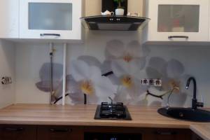 Фартук для кухни фото: крупные белые орхидеи, заказ #ИНУТ-645, Белая кухня.