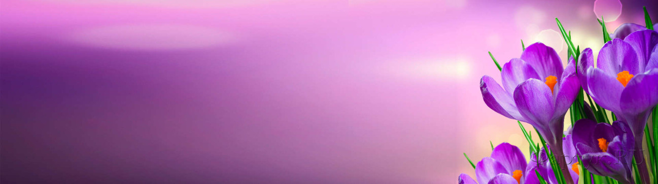 Скинали — Крокусы на фиолетовом фоне