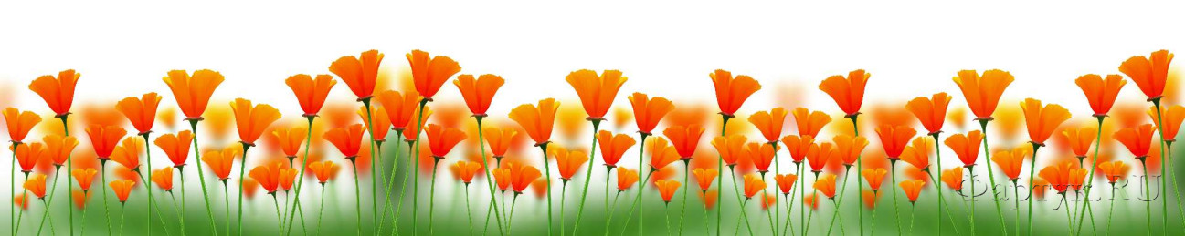 Скинали — Оранжевые цветы на траве
